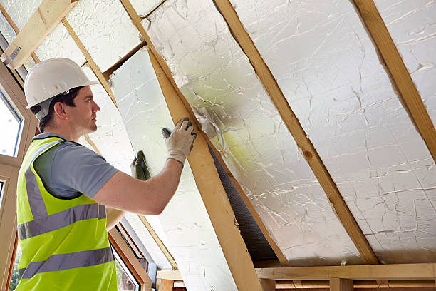 Professional Insulation Services in University Heights, IA